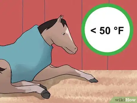 Image titled Make a Horse Blanket Step 14