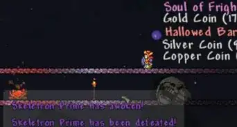 Get All the Wings in Terraria