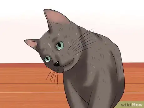 Image titled Identify if Your Cat Has Had a Stroke Step 3