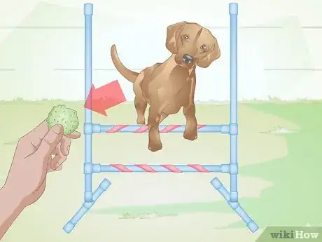 Image titled Build a Dog Agility Jump Step 13