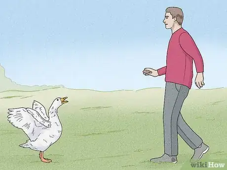 Image titled Stop a Goose Attack Step 3