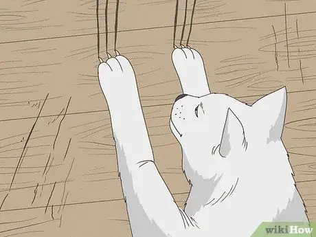 Image titled Why Do Cats Rub Against You Step 9