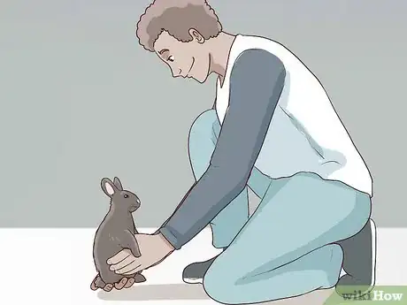 Image titled Carry a Rabbit Step 3