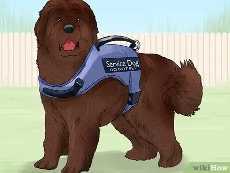 Image titled Train Your Service Dog Without a Professional Trainer Step 8