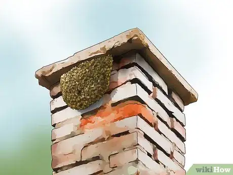 Image titled Identify Honey Bees Step 5