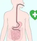 Test for Lactose Intolerance