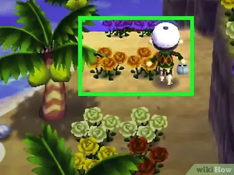 Image titled Get Blue Roses and Purple Pansies in Animal Crossing_ New Leaf Step 2