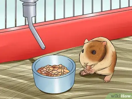 Image titled Diagnose and Treat a Dehydrated Hamster Step 8