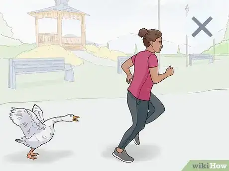 Image titled Stop a Goose Attack Step 8