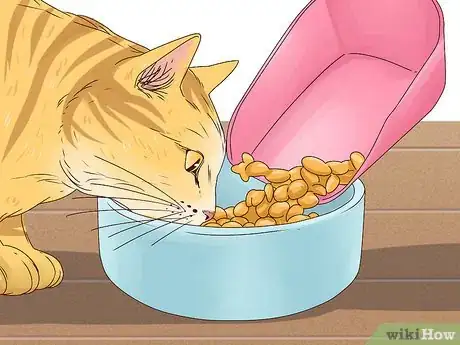 Image titled Get a Cat to Stop Meowing Step 1