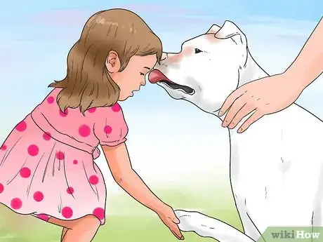 Image titled Raise an American Bulldog Step 13