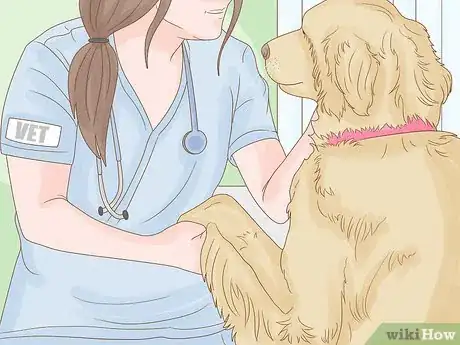 Image titled Get Your Dog to Lose 10 Pounds Step 3