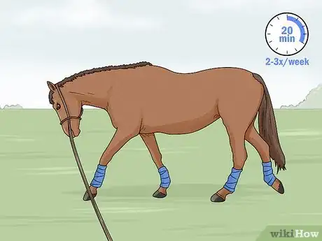 Image titled Lunge a Horse Step 18