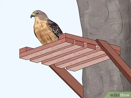 Image titled Attract Hawks Step 11