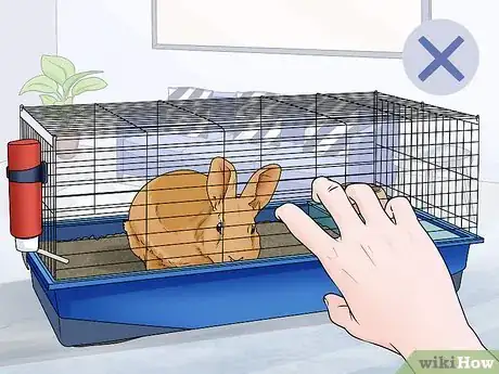 Image titled Stop a Rabbit's Biting Habit Step 1