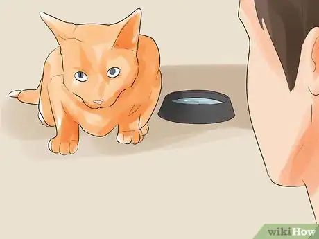 Image titled Know if Your Cat Is Dying Step 4