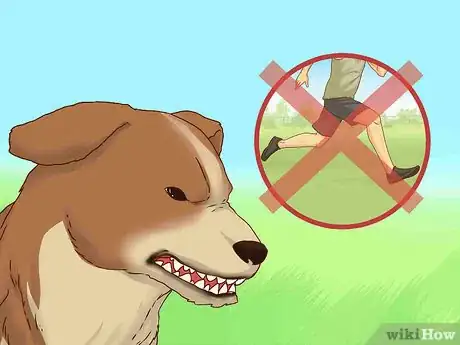 Image titled Befriend Dogs Step 13