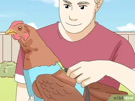 Image titled Make a Chicken Harness Step 10