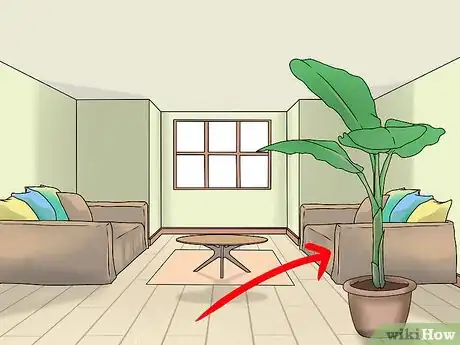 Image titled Grow Banana Trees in Containers Step 12