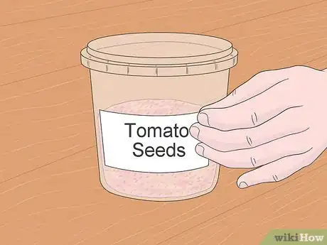 Image titled Grow Tomatoes from Seeds Step 3