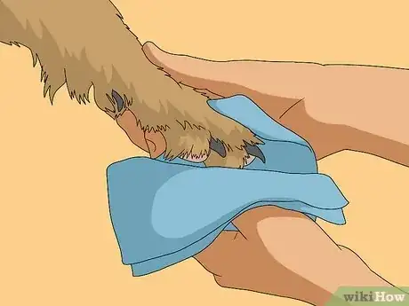 Image titled Get Dog Smell Out of the Carpet Step 10