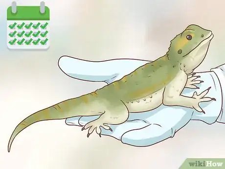 Image titled Care for Bearded Dragons Step 26