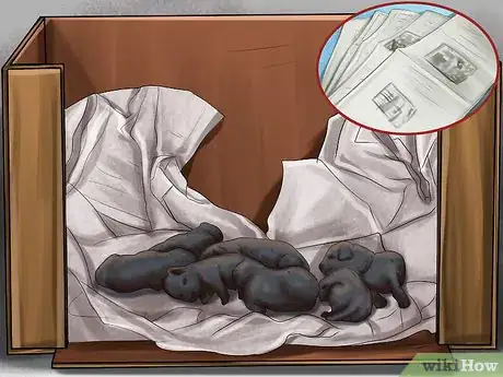 Image titled Save Orphaned Newborn Puppies Step 7