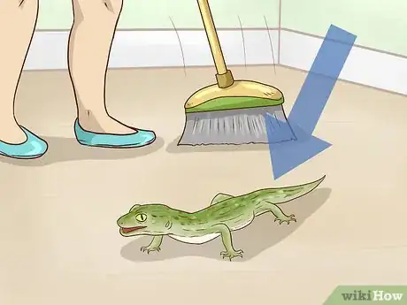 Image titled Get Rid of Geckos Step 3