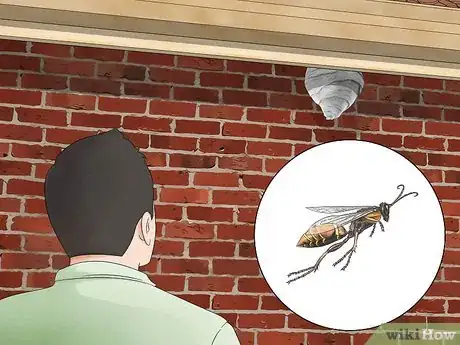 Image titled Get Rid of Paper Wasp Nests Step 3