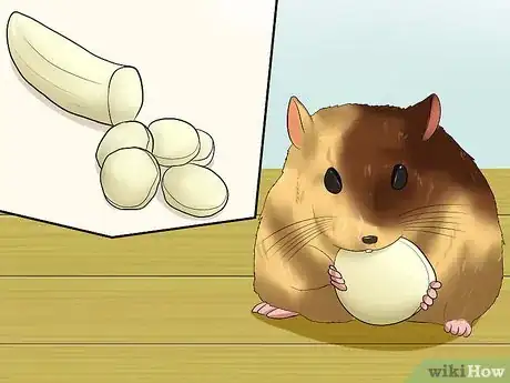 Image titled Tell if a Dwarf Hamster Is Obese Step 9