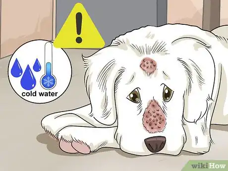 Image titled Shave Your Dog Step 2