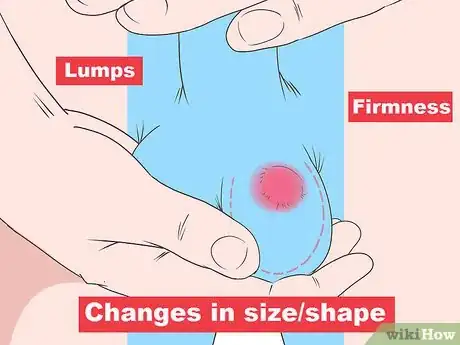 Image titled Diagnose Testicular Cancer Step 4