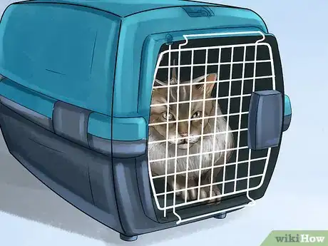 Image titled Immobilize an Injured or Frightened Cat Step 3