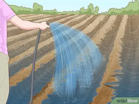 Image titled Reduce Salinity in Soil Step 8