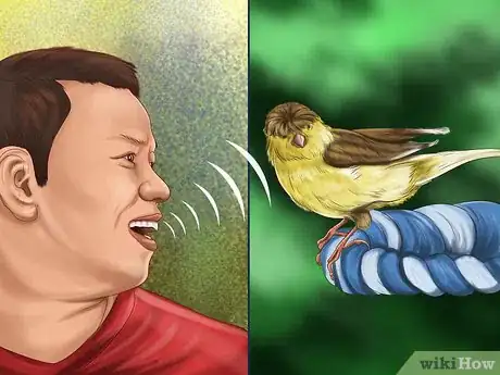 Image titled Get a Canary to Sing Step 4