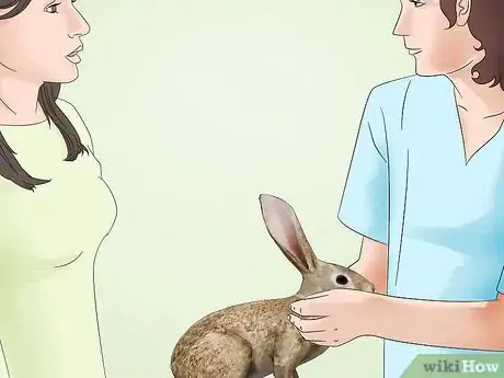 Image titled Get Rid of Mites on Rabbits Step 7