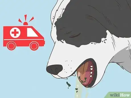 Image titled Tell if Your Dog Is Having a Medical Emergency Step 15