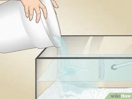 Image titled Do a Water Change in a Freshwater Aquarium Step 10