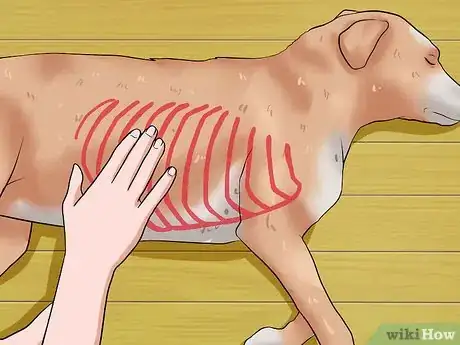 Image titled Help Your Dog Lose Weight Step 2