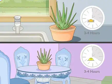 Image titled Force Bloom on Aloe Vera Step 1