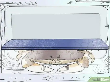 Image titled Cook a Crab Step 1