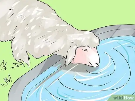 Image titled Get Started in Raising Sheep Step 10