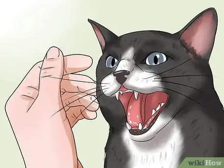 Image titled Treat a Cat for Snakebite Step 4