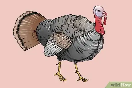 Image titled Draw a Turkey Step 23