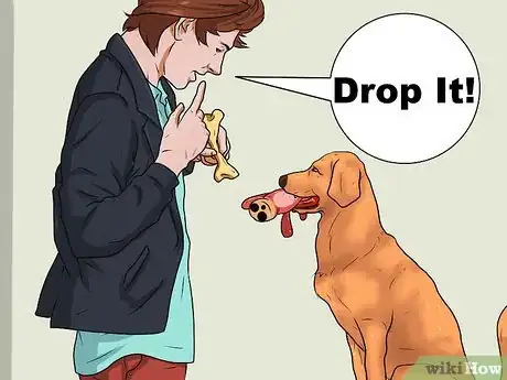 Image titled Teach a Dog to Fetch Step 1