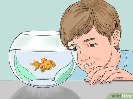 Image titled Train Goldfish Step 1