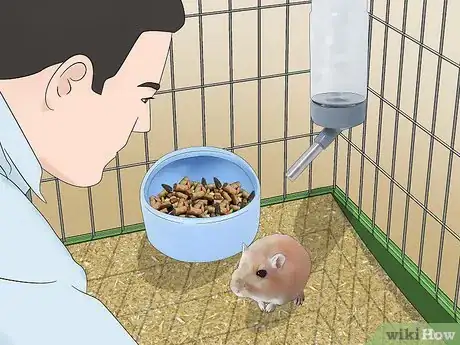 Image titled Feed a Gerbil Step 12