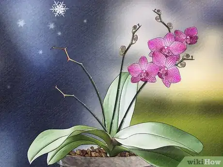 Image titled Grow Orchids in a Greenhouse Step 17