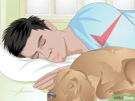 Image titled Choose a Place for Your Dog to Sleep Step 14