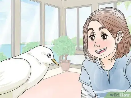 Image titled Keep Doves Entertained Step 3